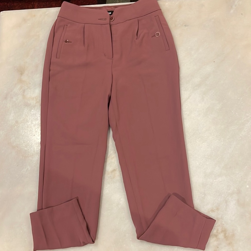 Express dressy pants